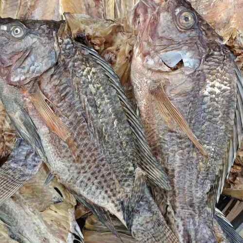 Dried Tilapia Dried African Tilapia 非洲罗非鱼干 Dried fish