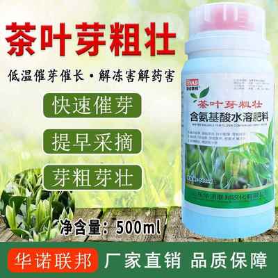 春茶早采芽粗芽壮茶叶叶面肥提早催芽促长芽粗芽嫩芽多芽壮多发头