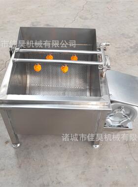 小型水果蔬菜清洗机气泡喷淋清洗机洗菜机清洗水果机器