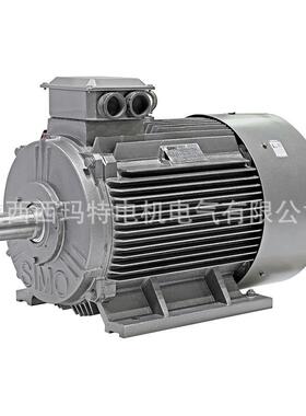 西安电机YV2-315L2-6极132W低压变频交流三相异步电动机厂