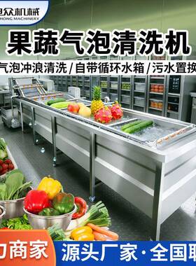 商用气泡洗菜机果蔬清洗机全自动洗菜机食品厂水果蔬菜臭氧清洗机