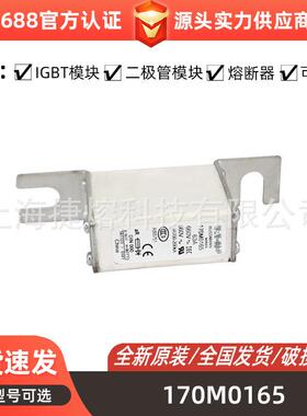170M0165 170L7278 170M1308快速熔断器 高压断路器 电子元器件