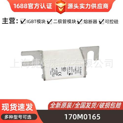 170M0165 170L7278 170M1308快速熔断器 高压断路器 电子元器件