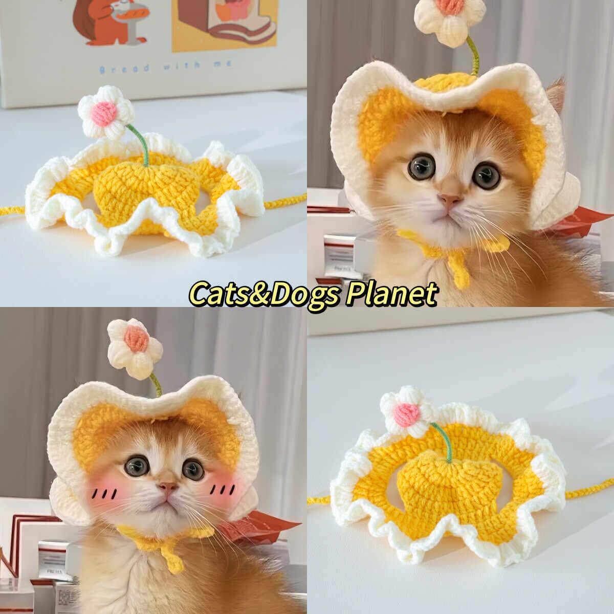 猫咪帽子露耳朵小花苗猫帽子头套狗狗装扮可爱搞怪装饰帽拍照道具