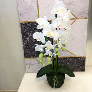 家居装饰仿真蝴蝶兰盆栽手感仿真假盆景酒店大堂装饰摆件植物批发