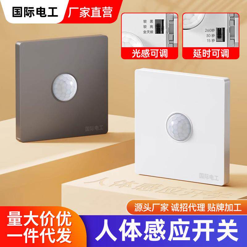 86型暗装二线声光控楼道感应延时白炽节能灯220声控开关面板