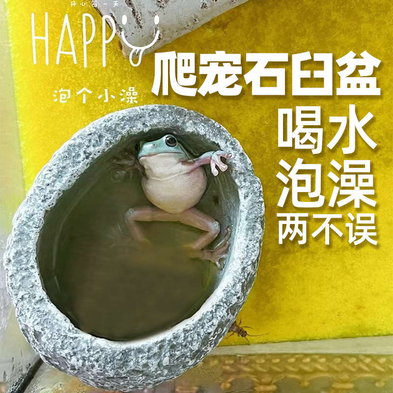 爬宠树蛙石头喂水盆食盆蛇睫角守宫虎皮鹦鹉仓鼠鬃狮蜥蜴乌龟晒台