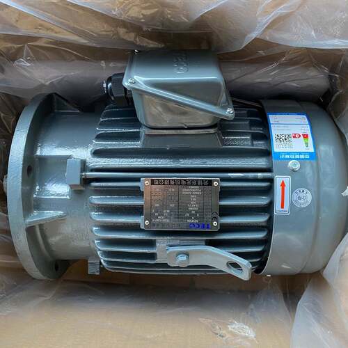 电机TEGH112M1-43.7W4PAEVF2N