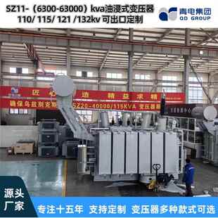 110kv油浸式 青电变压器厂 主变压器 63000KVA 25000 SZ20 6300