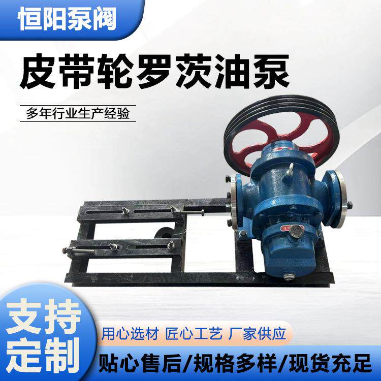 皮带轮LC型罗茨油泵泵润滑油脂沥青树脂稠真空泵润滑油脂泵