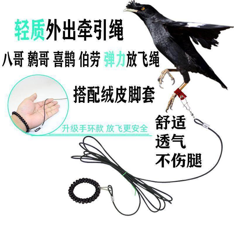 八哥专用脚环鸟用轻便放飞绳家养鹦鹉外出牵引遛鸟绳不伤脚绒皮套