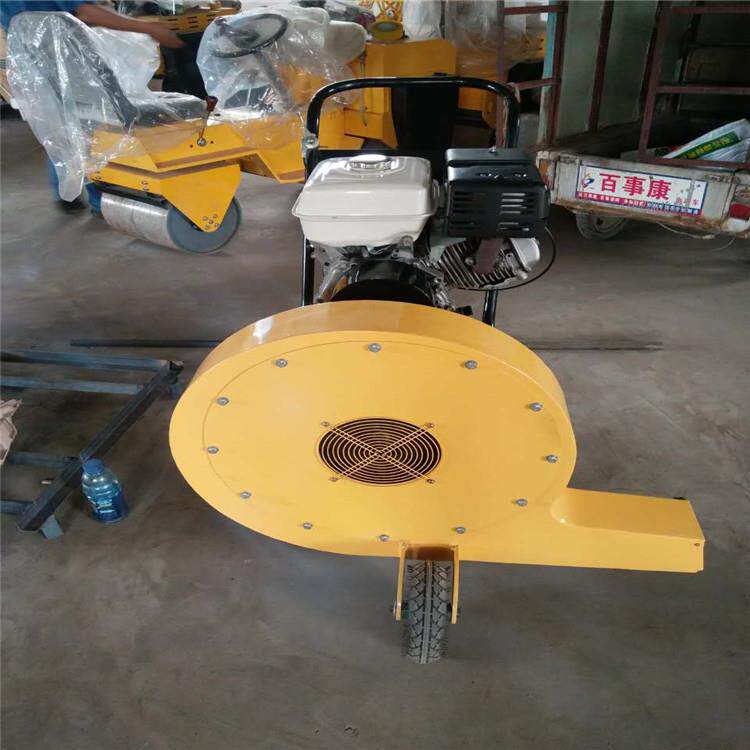 供应TYCF-9汽油动力马面吹风机 源厂直供实惠耐用