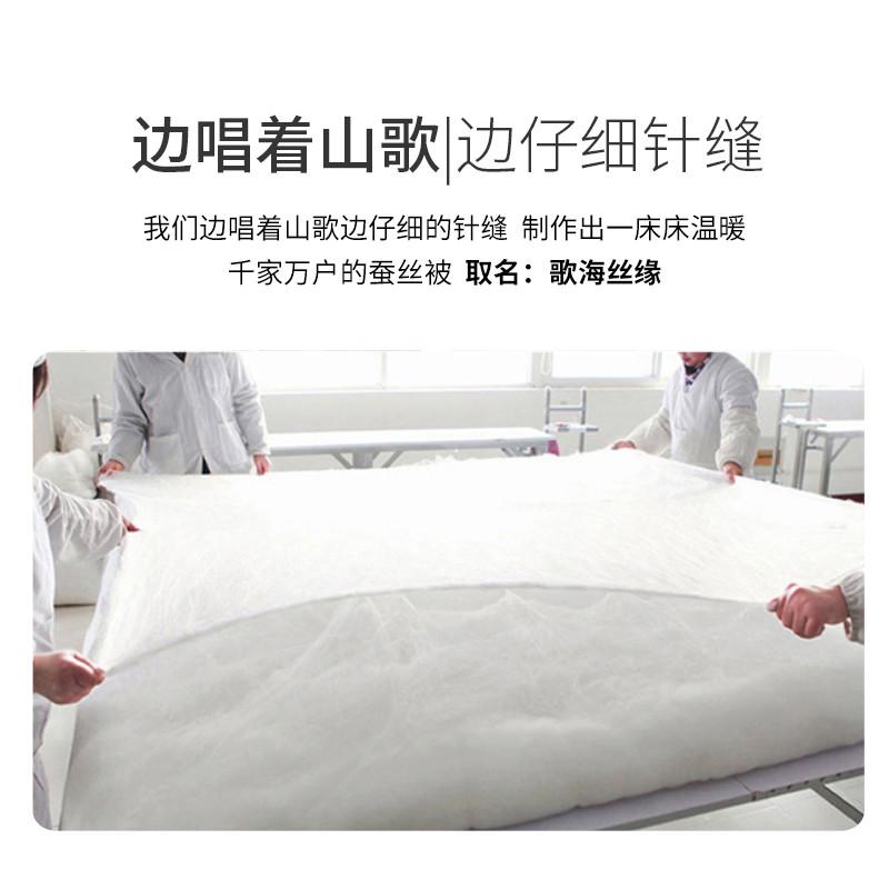 厂家直销KI9S广西刘三姐故乡宜州手工蚕丝被双宫茧桑蚕丝春秋被冬