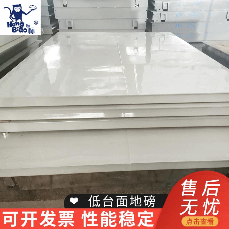 四川地上衡100t120t80-200t地秤电子汽车衡标高200mm低台面地磅