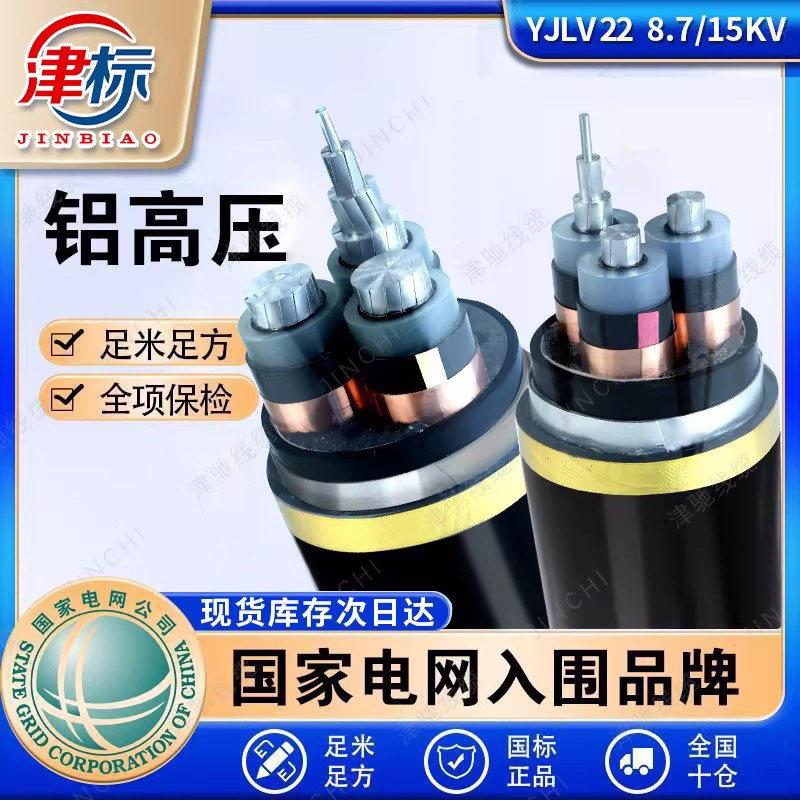国标高压电缆线铠装电缆50 70 95 120平方铝芯电缆铝高压电缆线