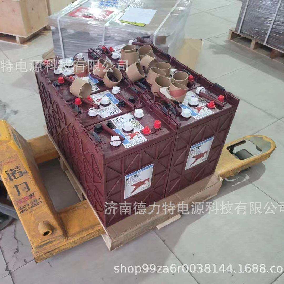 Trojan邱健蓄电池 30XHS 12V11H适用观光车扫地车升降机