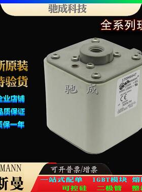 巴斯曼170M6644 170M6645 170M6646 现货直销厂价销售 高速熔断器