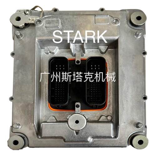 发动机控制单元60100008VOE60100008控制器ECU60100008P06P12