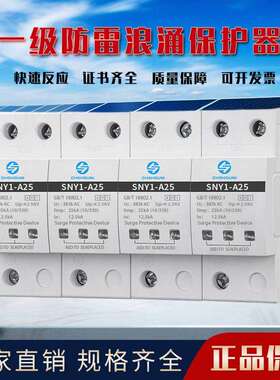 T1浪涌保护器防雷10/350us一级试验工业避雷器电涌抑制器1P2P3P4P