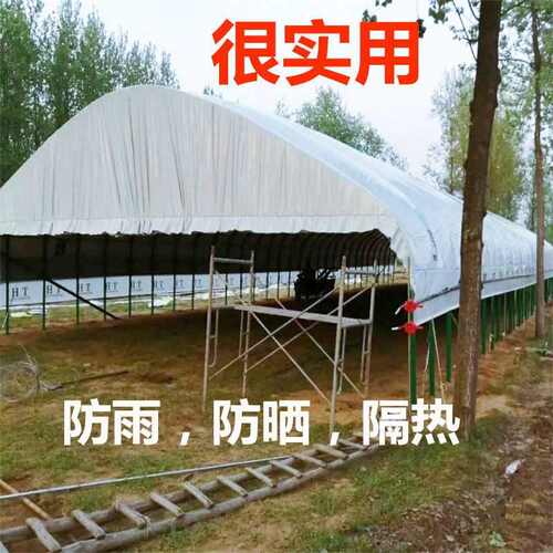 塑料加厚薄膜养殖大棚PE黑白膜隔热膜反光防晒食用菌塑料膜防老化