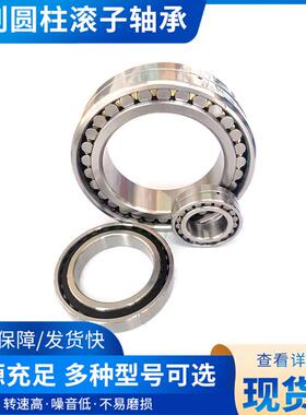 NN3020K/P5W33 NN3021K NN3022K 哈尔滨机床主轴轴承 D3182120 P4