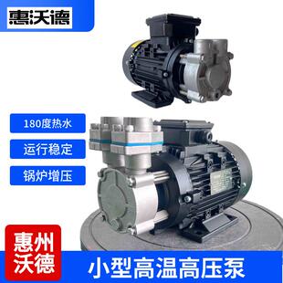 供应不锈钢高温导热油泵WD-20N模温机泵浦120度热水循环泵