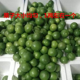 【现摘发货】广西土柠檬本地柠檬新鲜青柠檬玉林牛脚子腌制咸柠檬