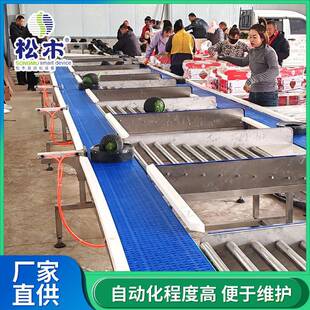 水果全自动分选线不锈钢苹果水果重量分选机秋月梨分选机选果机