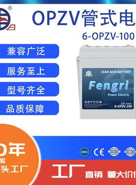 丰日OPZV系列管式电池6-OPZV-100