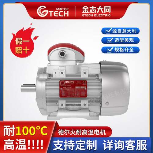 意大利Motive电机 DELFIRE耐高温100℃铝壳电机