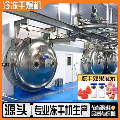 食品脱水低温冷冻干燥机100kg500kg食品级多功能易操作真空冻干机