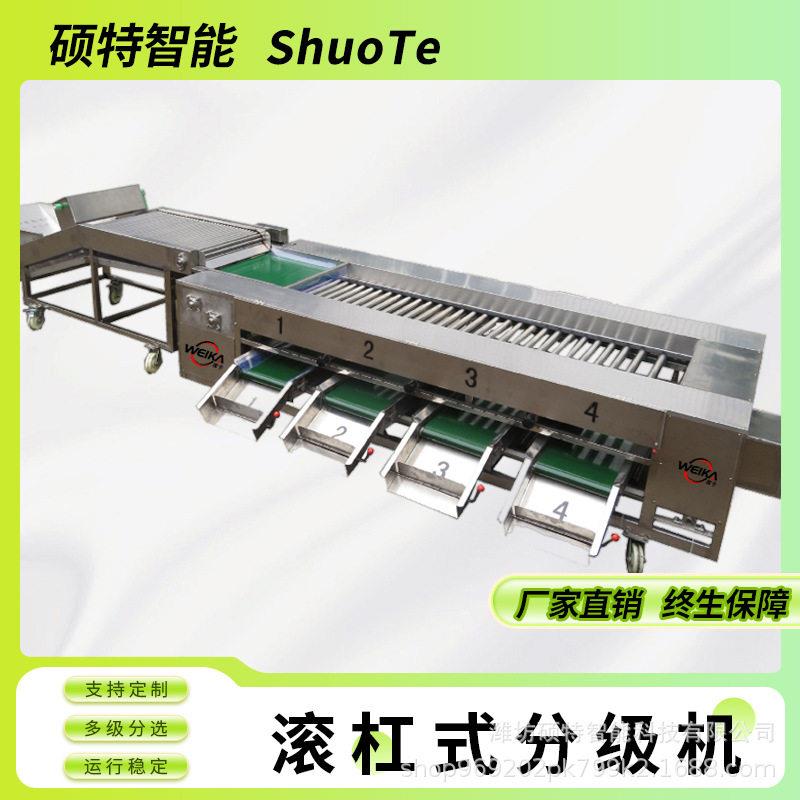 荔枝选果机滚杠式大小分拣机茵红李直径分拣机价格土豆分拣设备