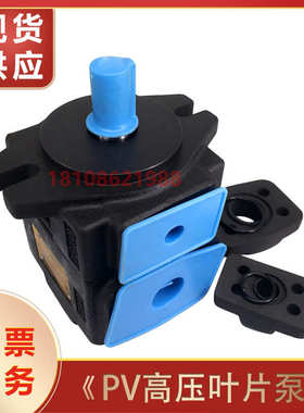 高压叶片泵PV2R1液压油泵PV2R2定量液压泵总成配件 PV2R3泵头现货