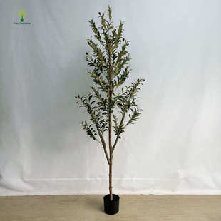 仿真橄榄树拆装真杆橄榄树落地仿生绿植室内北欧装饰橱窗造景假树