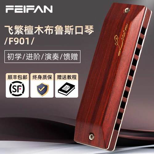 FEIFAN飞繁F901十孔木格学生初学者布鲁斯蓝调口琴专业演奏乐器