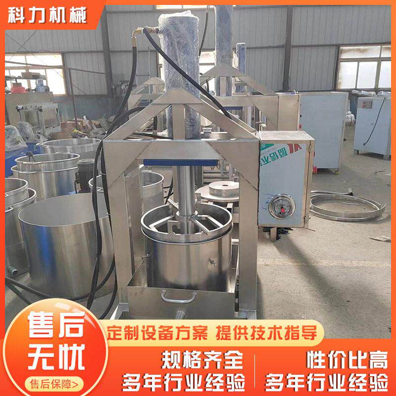 草莓桑葚压榨机 沙棘果汁压榨机 商用不锈钢液压压榨机