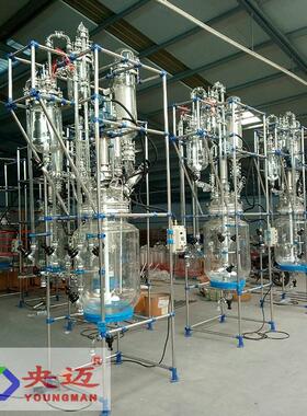 防爆双层单层玻璃反应釜50L150L200L玻璃反应釜保温厂家供应