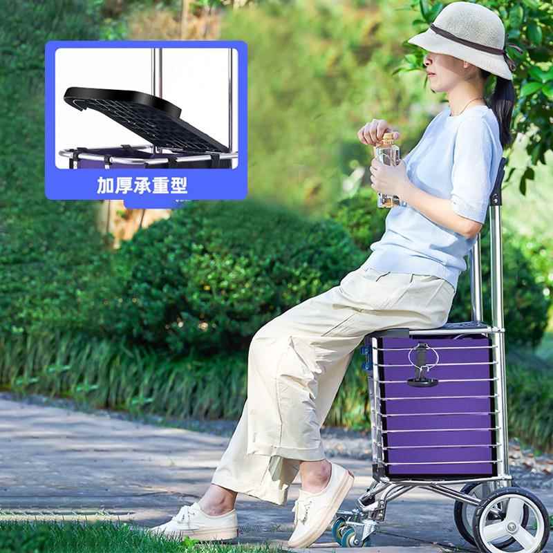 大轮拉杆车折叠菜篮子拉车 便携老人拖车家用买菜车购物车