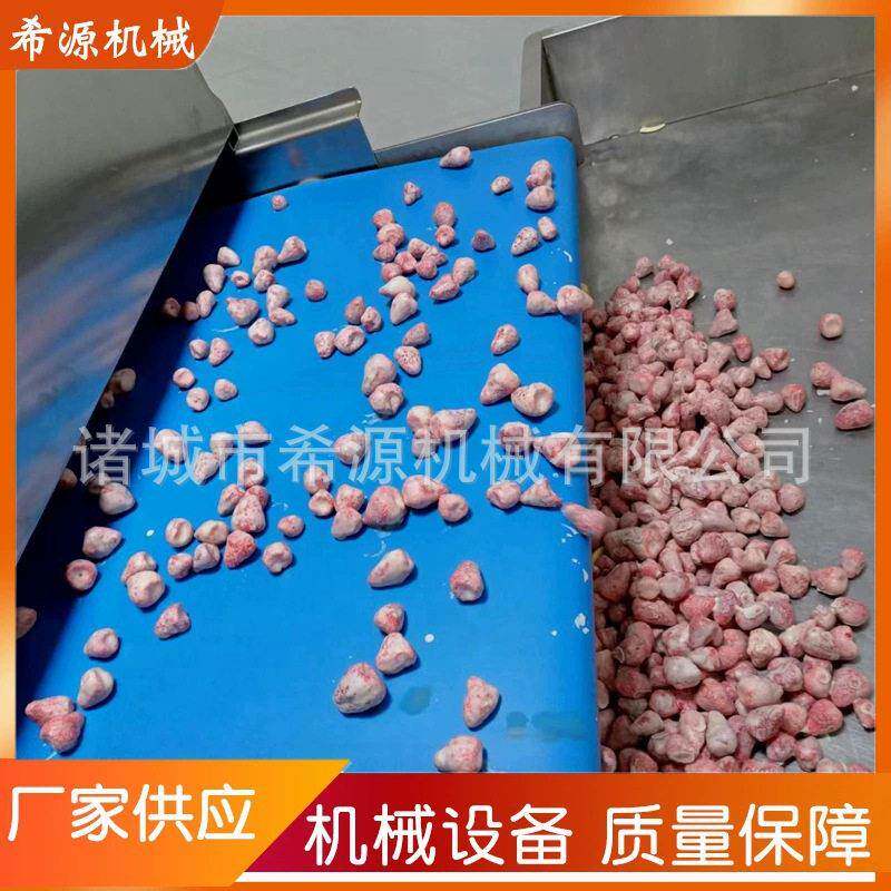 小型蛋糕巧克力涂层机 加热保温苏州面包巧克力淋浆机 面包上浆机