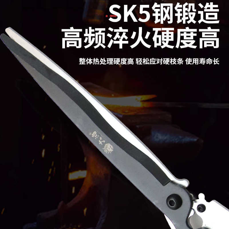 厂家直发大鸿修枝剪刀 剪枝剪 果树修枝剪刀花艺园艺剪刀园林工具