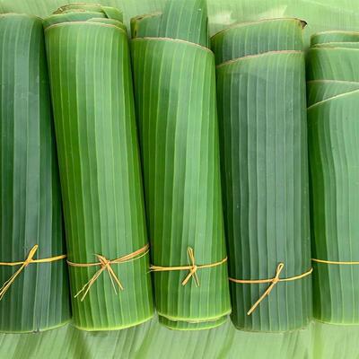 云南新鲜芭蕉叶纯天然也生香蕉叶做糍粑粽子糕点傣式包烧摆盘烤鸡