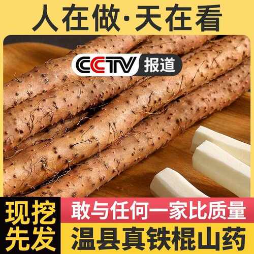 新疆包邮温县垆土铁棍山药河南焦作新鲜铁杆怀山药特产淮山药粉干