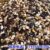 江苏沼泽过滤天然豆石地暖找平回填水洗滤料专用天然豆石