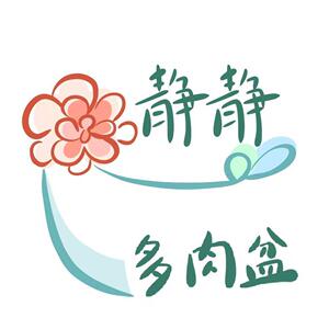 静静家大促活动多肉花盆专拍炼接