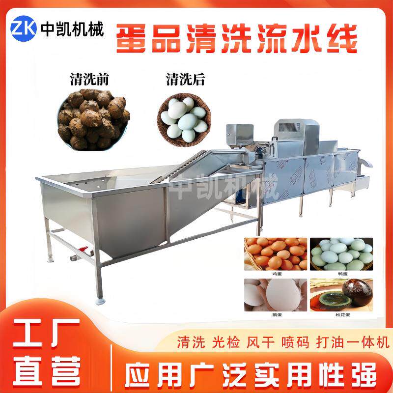 商用裹泥蛋洗蛋机蛋干外鸡壳粪清洗风喷码设备MFD鸡蛋清便洗流水