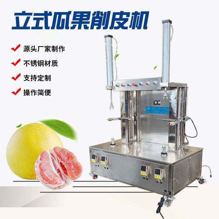 定制款立式头冬瓜削皮机操作简双头木瓜削皮设备南瓜削皮机