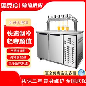 风冷啤酒机扎啤机商用精酿啤酒设备一体机生啤机打酒机鲜啤机器