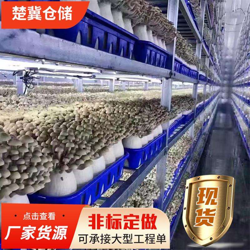 仓库热镀锌货架大棚蘑菇培菌房多层菌菇种植架冷库储物多层货架