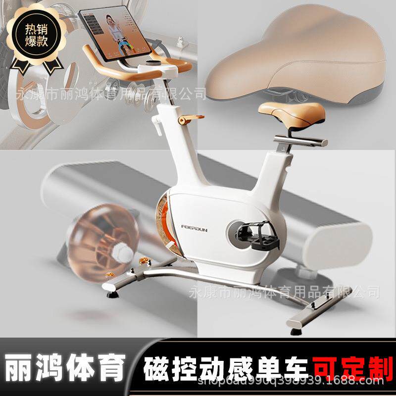动感单车智能家用小型器械自行车室内超静音健身器材多功能健步车