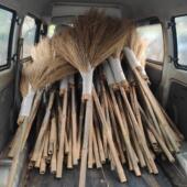 金丝草扫把大号 环卫工人扫把工厂用扫把